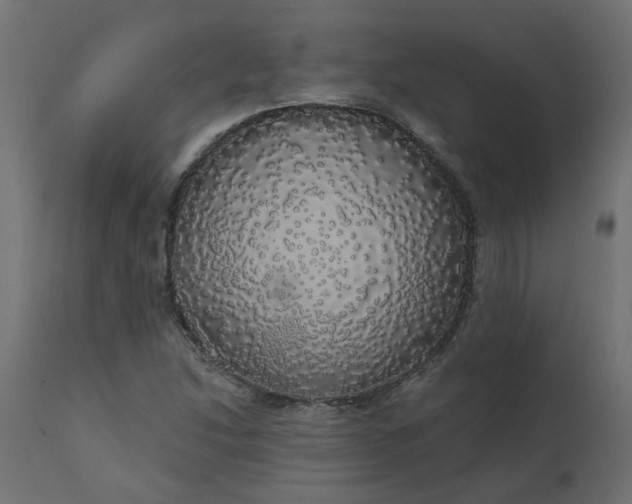 X0000110701214200906261359