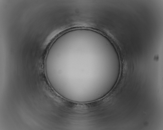 X0000110701215200906261359