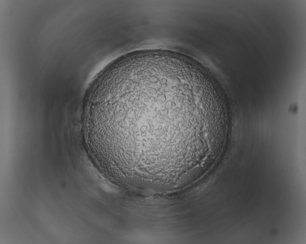 X0000110701216200906261359