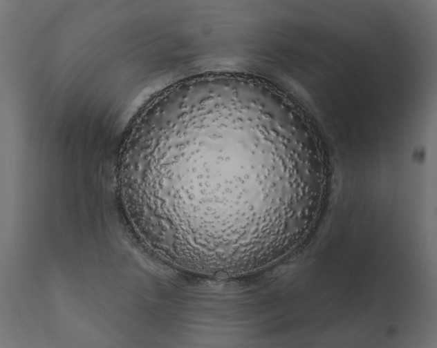 X0000110701218200906261400