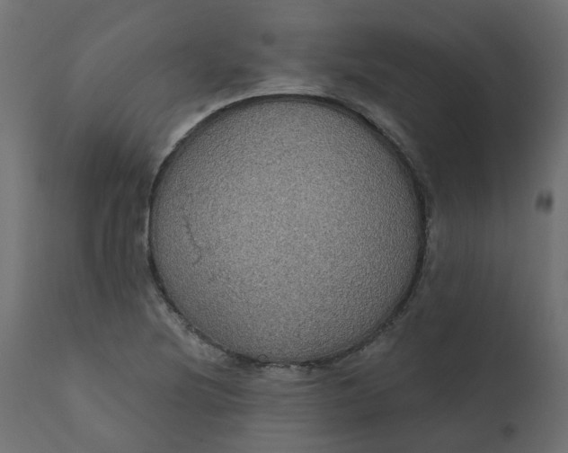 X0000110701220200906261400