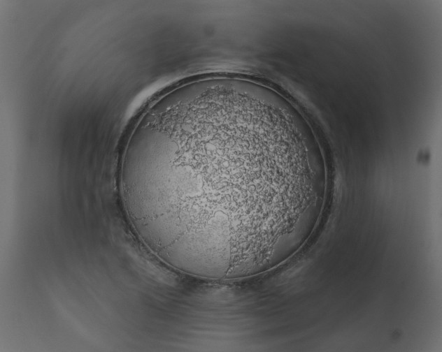 X0000110701222200906261400