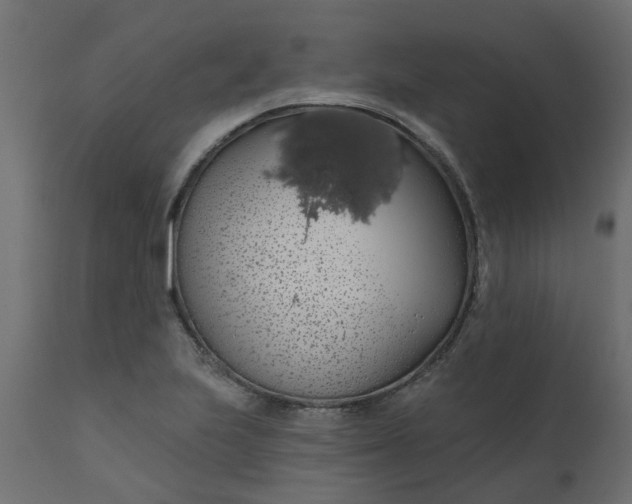 X0000110701223200906261400
