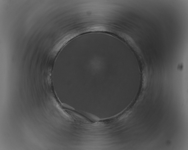 X0000110701225200906261400