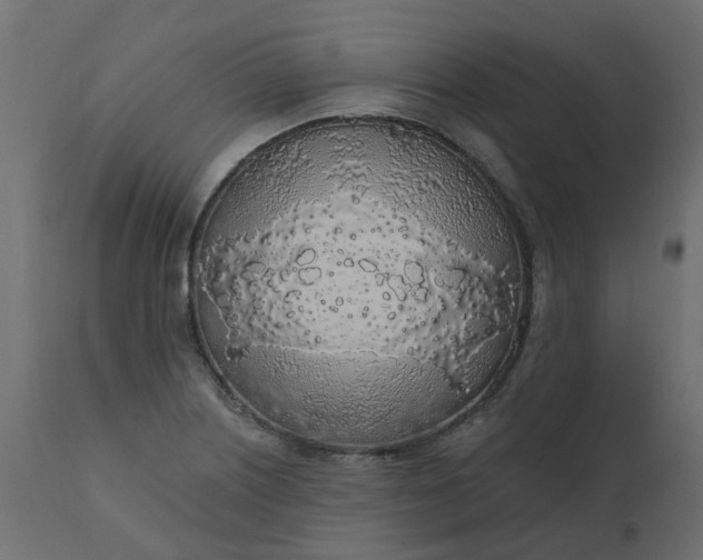X0000110701226200906261400