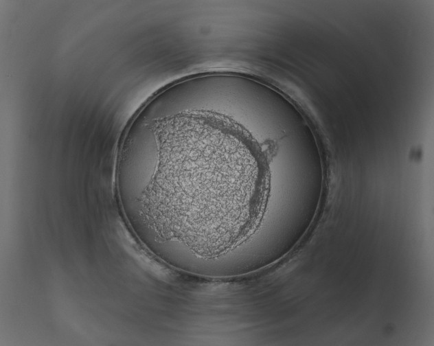 X0000110701228200906261400
