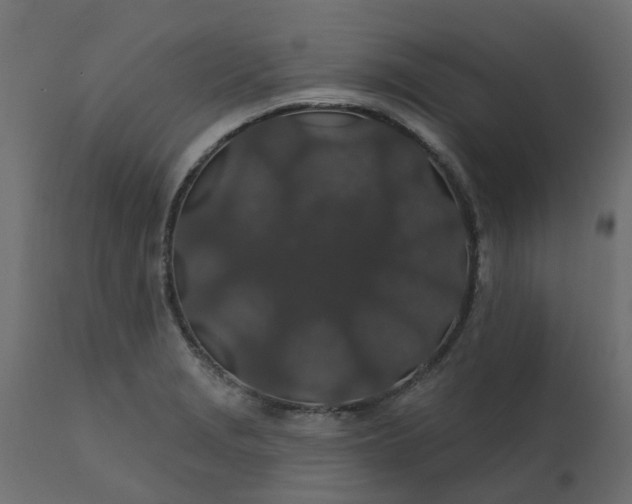 X0000110701229200906261400