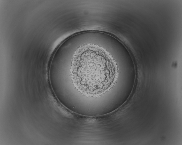 X0000110701230200906261400