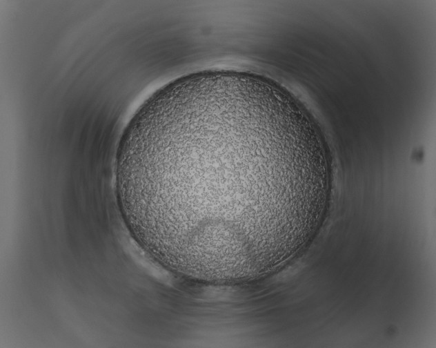 X0000110701232200906261400