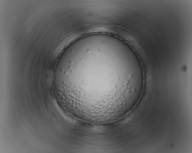 X0000110701233200906261400