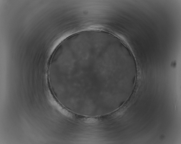 X0000110701235200906261400