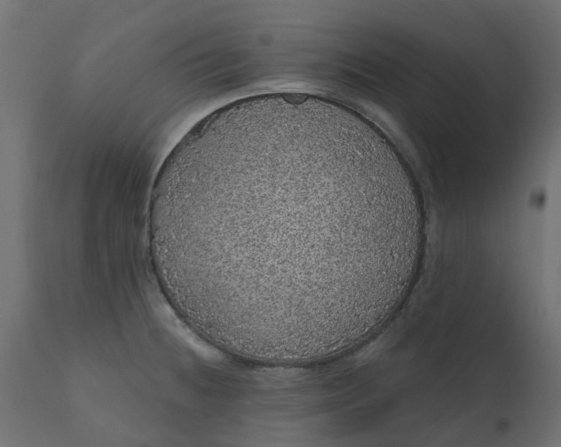X0000110701236200906261400