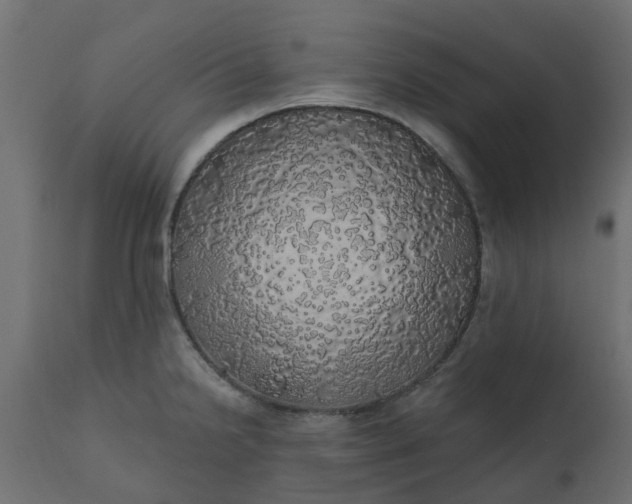 X0000110701238200906261400