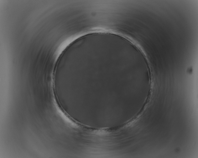 X0000110701239200906261400