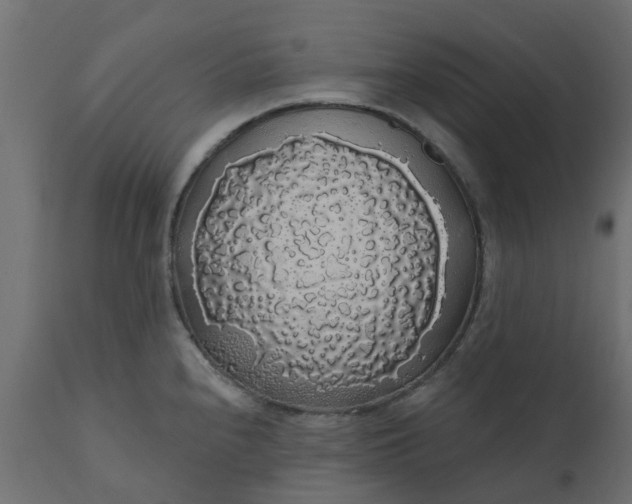 X0000110701240200906261400