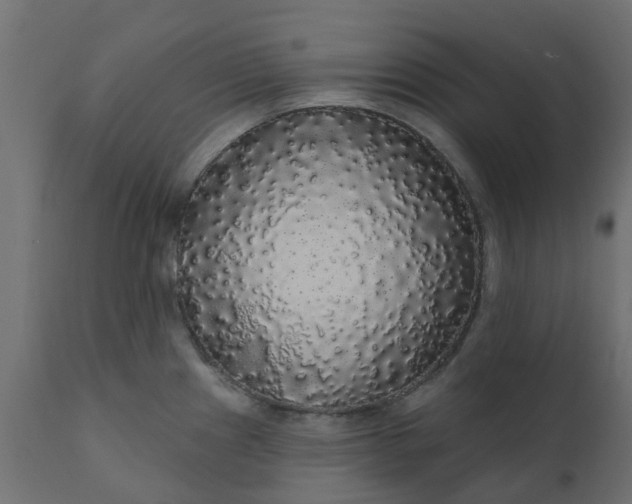 X0000110701241200906261400