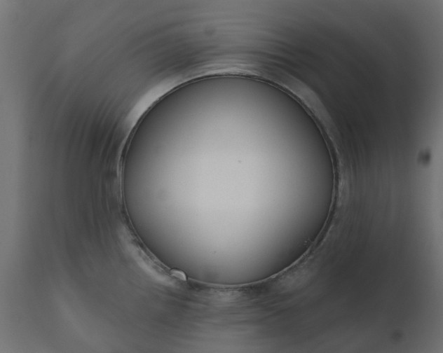 X0000110701242200906261400