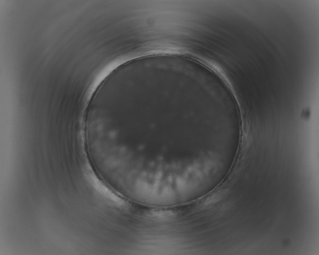 X0000110701243200906261400