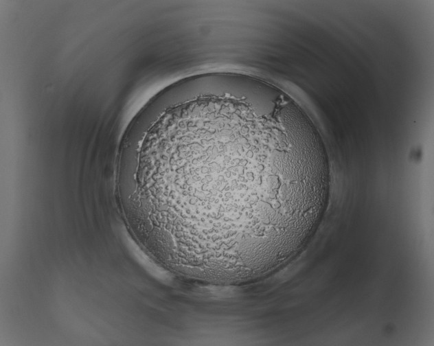 X0000110701244200906261400
