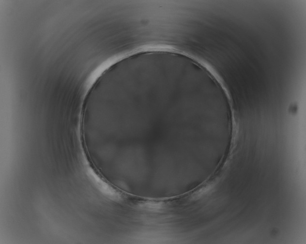 X0000110701245200906261400