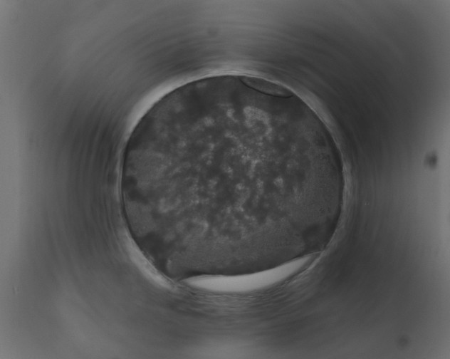 X0000110701246200906261400