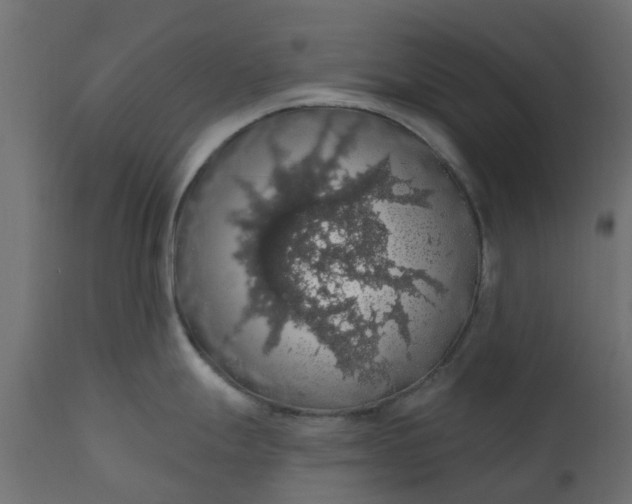 X0000110701247200906261400