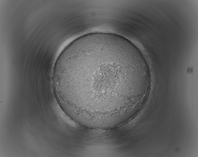 X0000110701248200906261400
