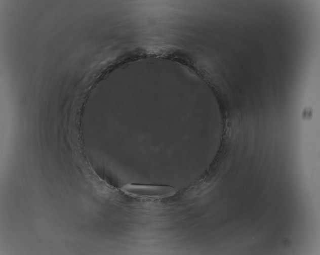 X0000110701249200906261359