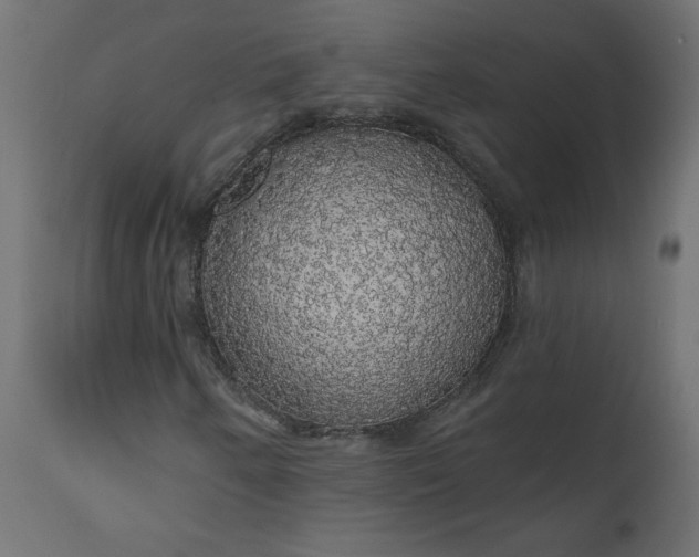 X0000110701250200906261359