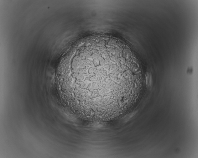 X0000110701251200906261359
