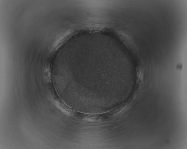X0000110701252200906261359