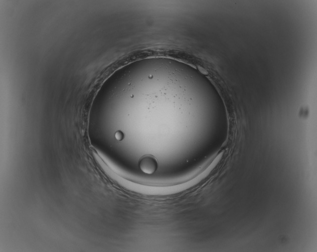 X0000110701253200906261359