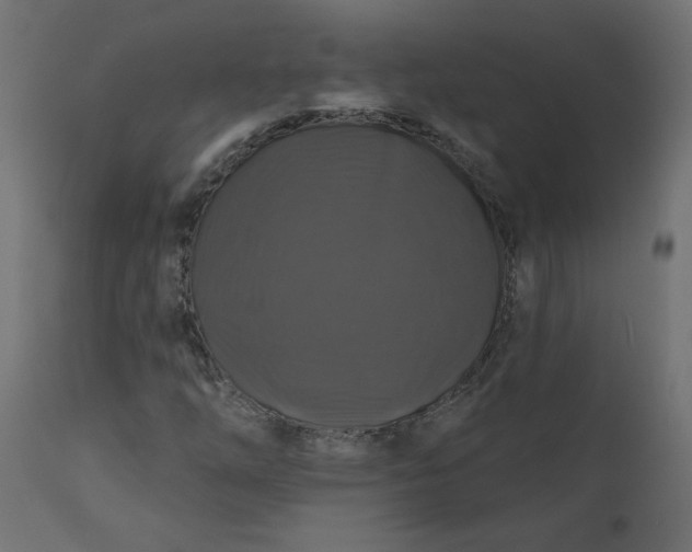 X0000110701254200906261359