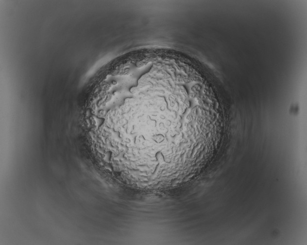 X0000110701255200906261359
