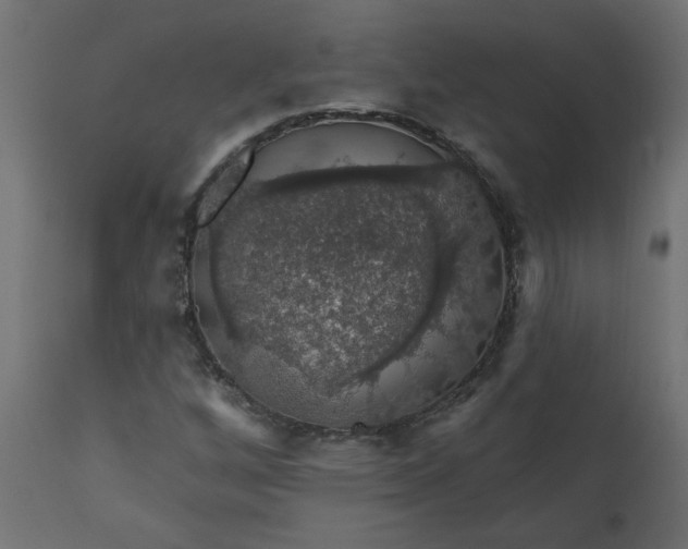X0000110701256200906261359
