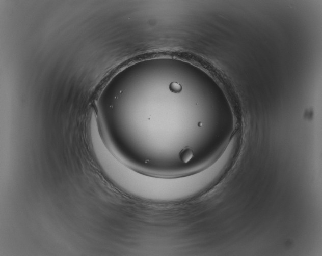 X0000110701257200906261359
