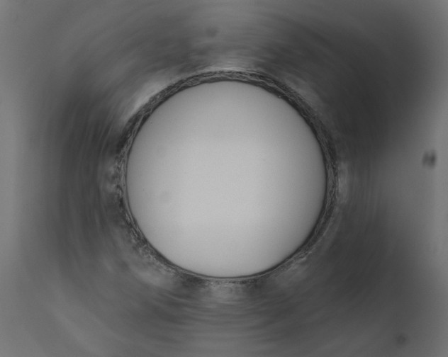 X0000110701258200906261359