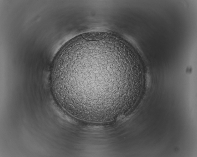 X0000110701260200906261359