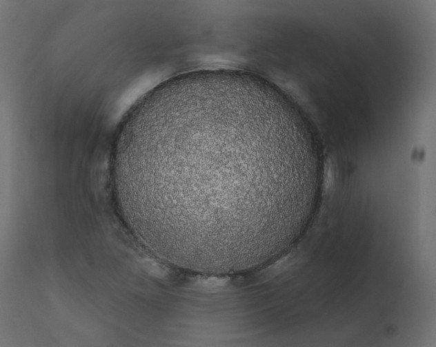 X0000110701261200906261359