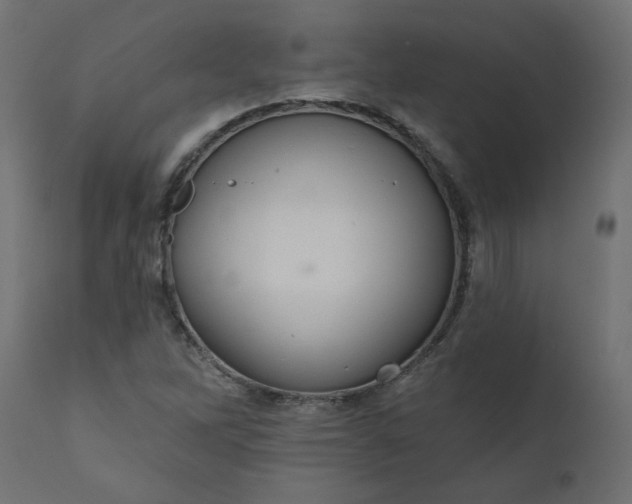 X0000110701262200906261359