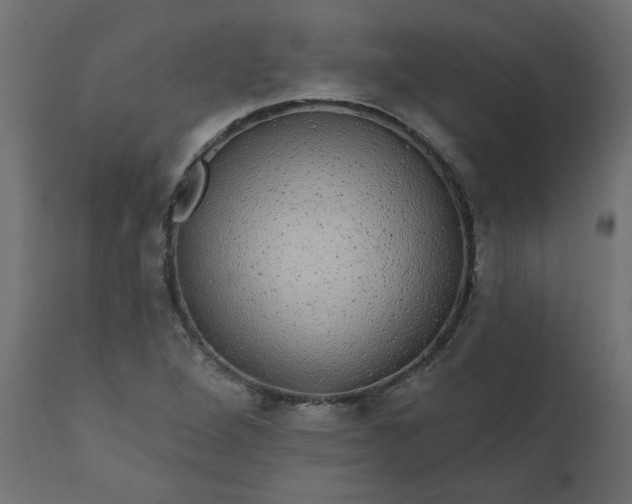 X0000110701264200906261359
