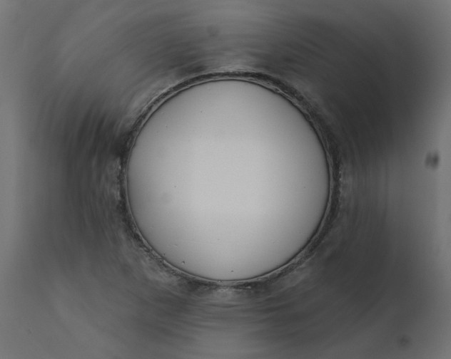 X0000110701265200906261359