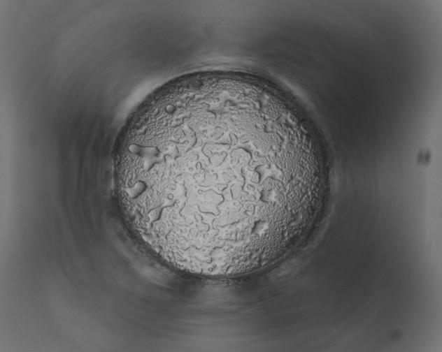 X0000110701267200906261359