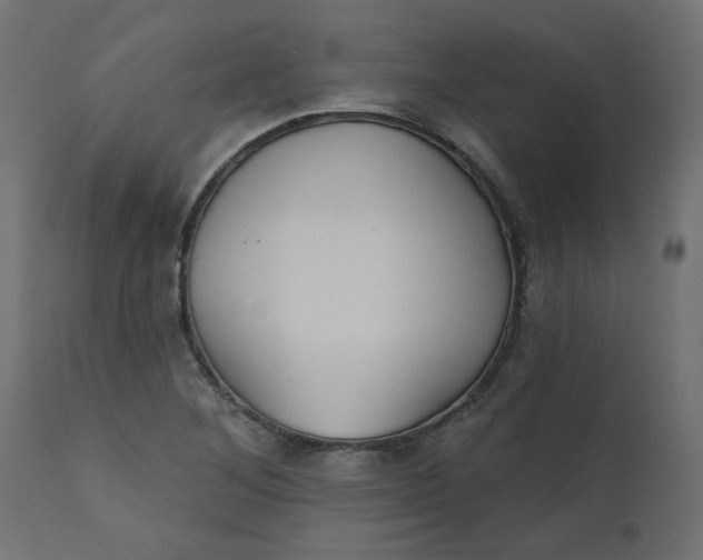 X0000110701268200906261359