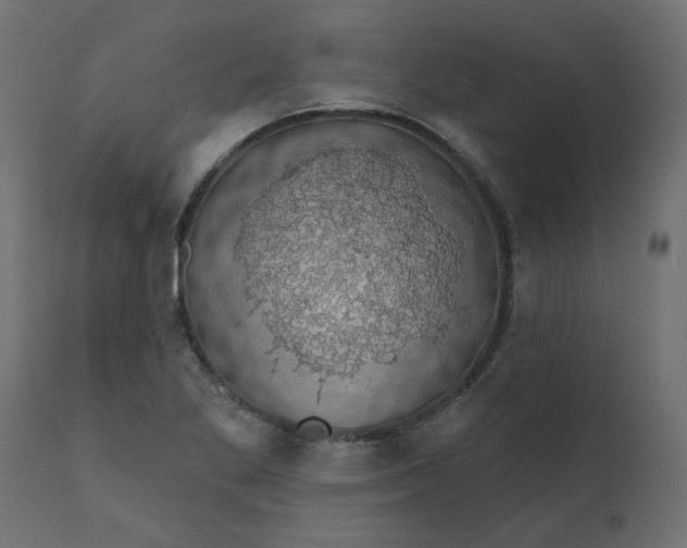 X0000110701269200906261359