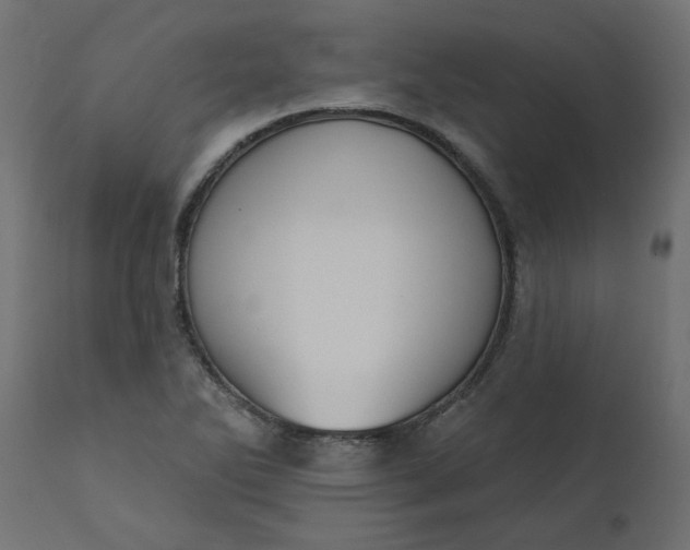 X0000110701270200906261359