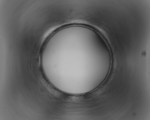 X0000110701271200906261359