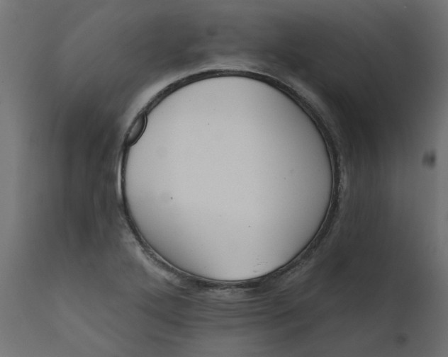X0000110701272200906261359
