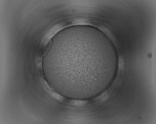 X0000110701273200906261359