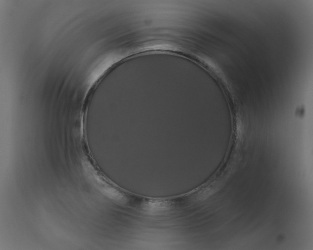 X0000110701274200906261359